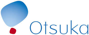 Enterprise web application branding
